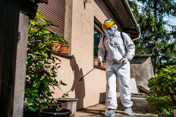 Best Pest Removal Services  in Palatka, FL